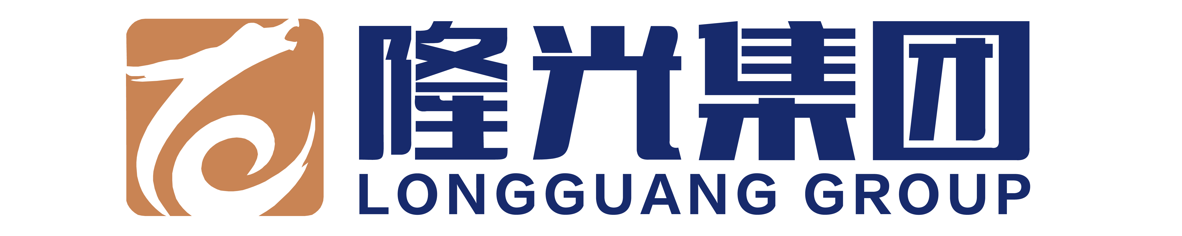 隆光集团